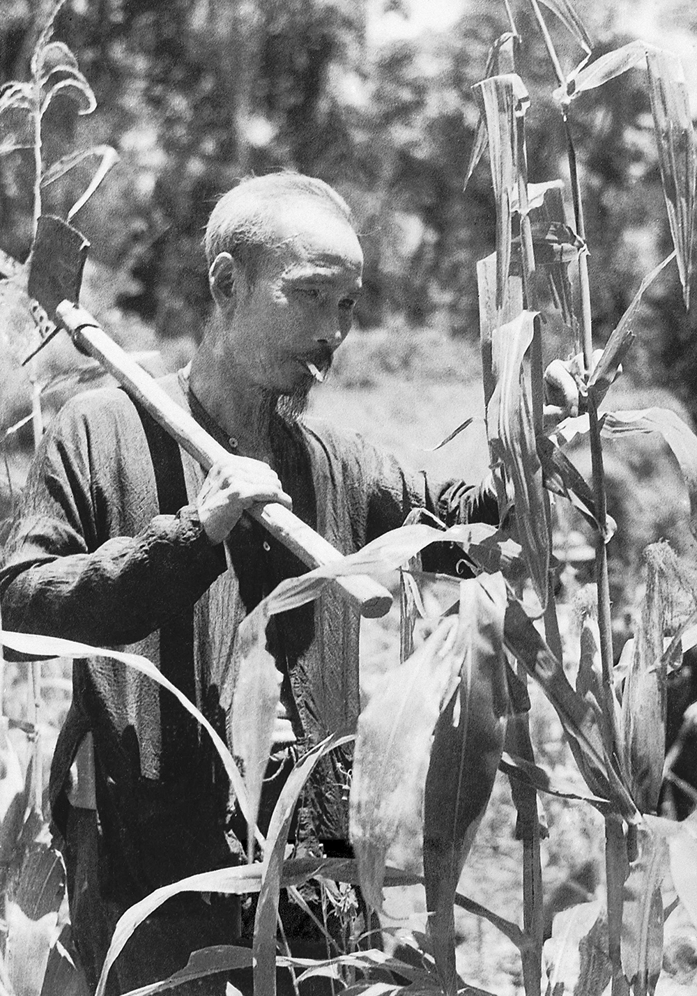 Chủ tịch Hồ Chí Minh kêu gọi đồng bào và chiến sĩ thực hiện khẩu hiệu: “Thực túc binh cường”, và hằng ngày Người dành thời gian tăng gia sản xuất